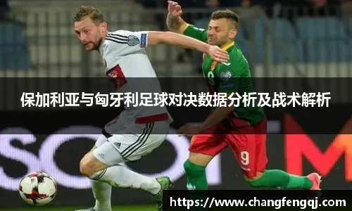 星空体育网站入口