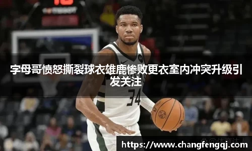星空体育网站入口