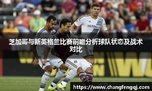 芝加哥与新英格兰比赛前瞻分析球队状态及战术对比