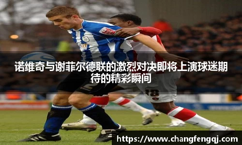 诺维奇与谢菲尔德联的激烈对决即将上演球迷期待的精彩瞬间